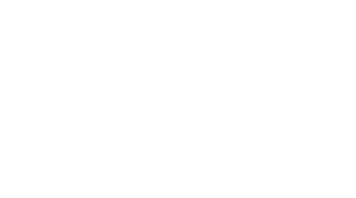 Vehículo de Flotas Changan